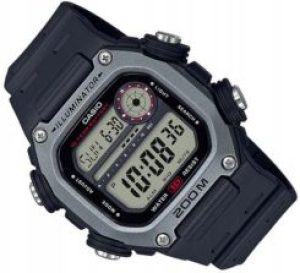 CASIO DW-291H-1AVEF