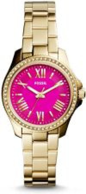 Fossil AM4598
