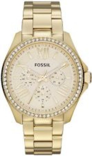 Fossil Cecile Sport Women AM4482