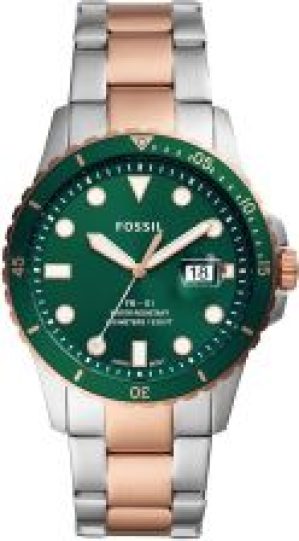 Fossil FS5743
