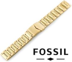 Fossil Pasek Pasekfossilstalpowlekana