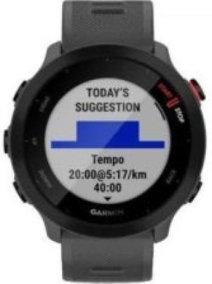 Garmin Forerunner 55 Grafitowy (0100256213)