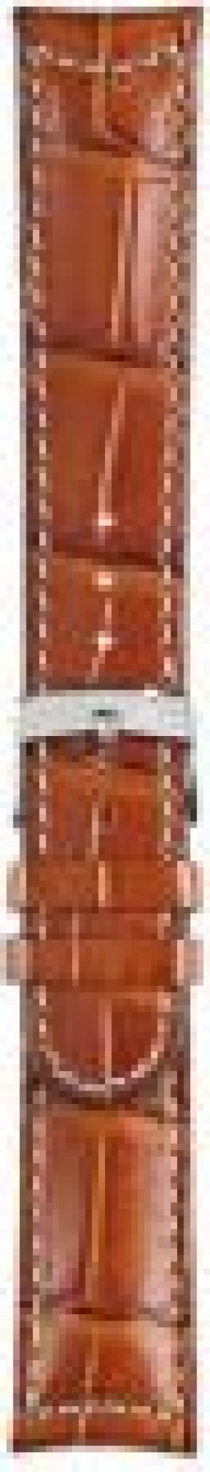 Morellato Pasek Skórzany A01U3882A59041Cr22 Guttuso Alligatore Calf