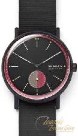 Skagen SKW6540