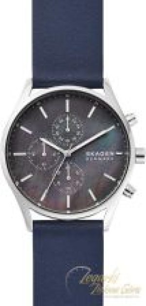 Skagen SKW6653