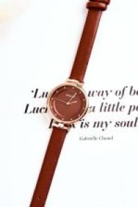 Ernest E97295 BROWN