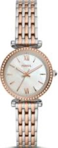 Fossil Es4649