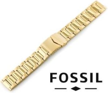 Fossil Pasek Pasekfossilstalpowlekana