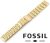 Fossil Pasek Pasekfossilstalpowlekana