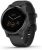 Garmin Vivoactive 4S Czarny (0100217213)