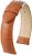 Hirsch Pasek Duke 01028075218
