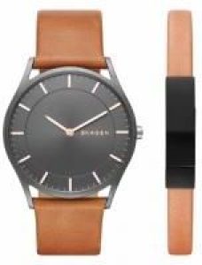 Skagen SKW1076